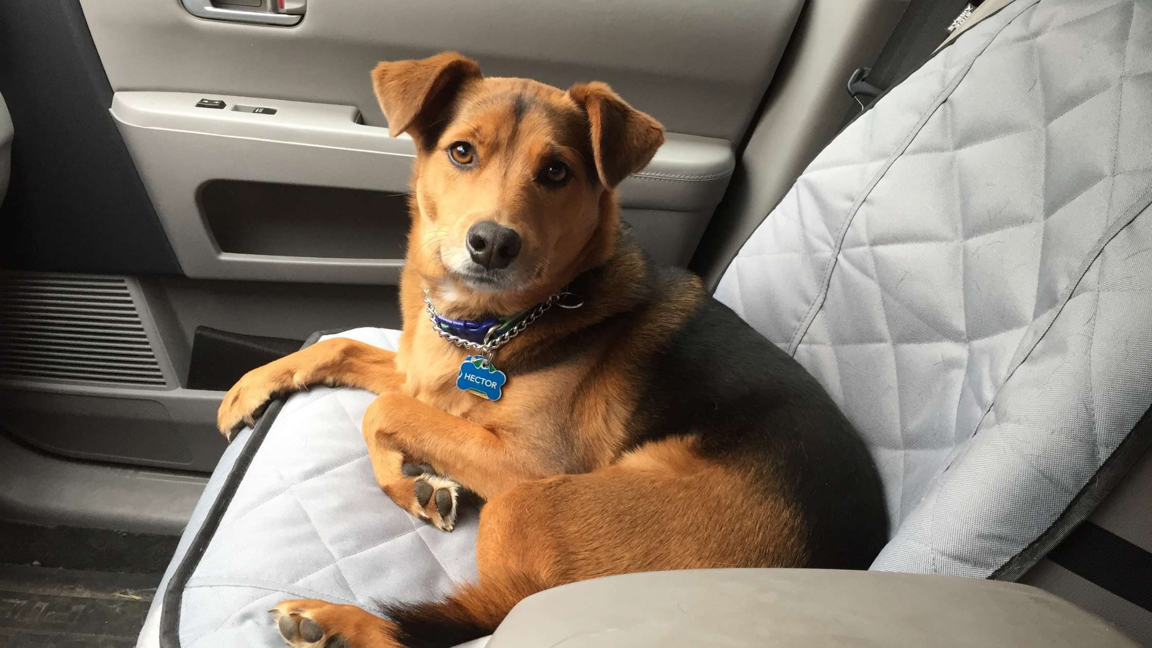 Best Materials for Truck Seat Covers: Practical Comparison and Selection Guide