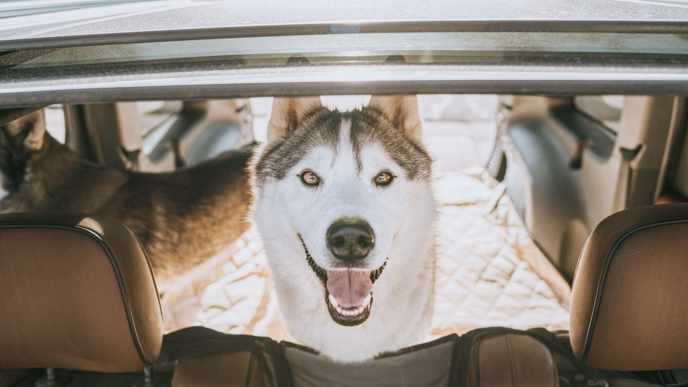 4Knines Waterproof SUV Cargo Liner