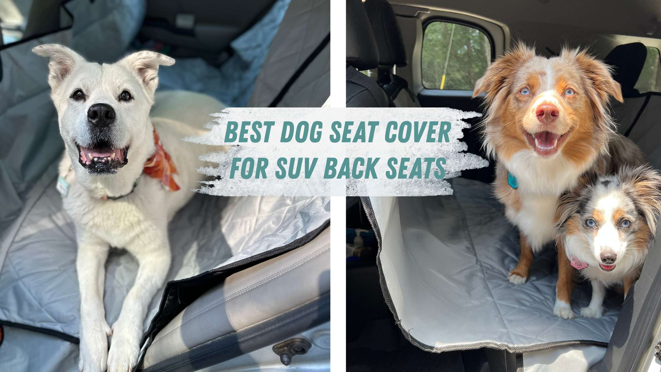 Best Dog Seat Cover for SUV Back Seats | 4Knines Ultimate Protection