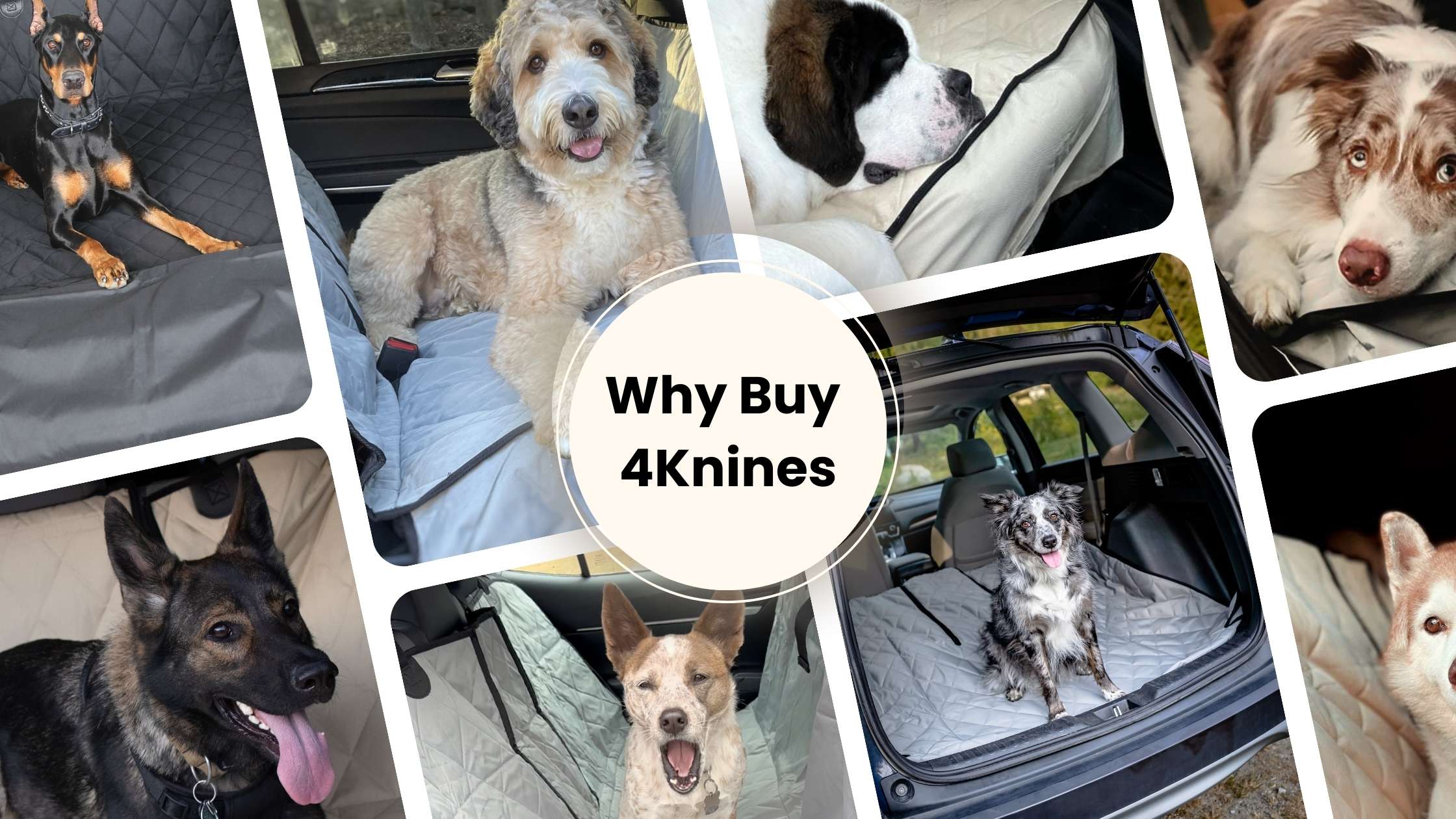 Why Should I Buy from 4Knines? | Durable, Waterproof Car Seat Covers