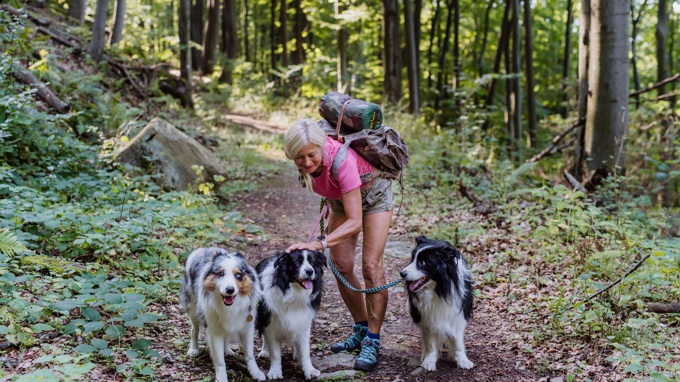 Dog-Friendly Mountain Destinations for Travel With Your Pet