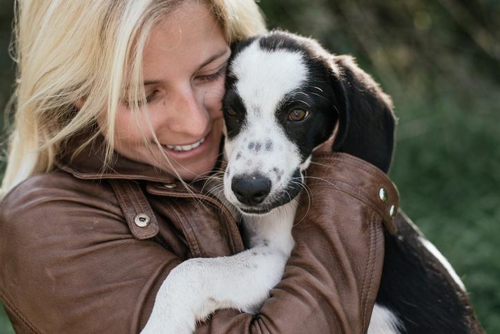 Are You a Dog-Less Dog Lover?