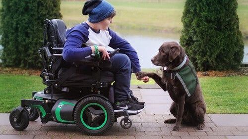 December 2022 Charity Spotlight: Summit Assistance Dogs