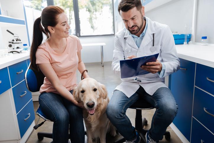 What Did My Vet Say? Dog Health Information (Part 1)