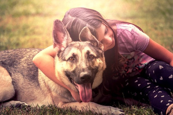 It’s Back-to-School Time: 10 Tips to Help Your Dog Adjust
