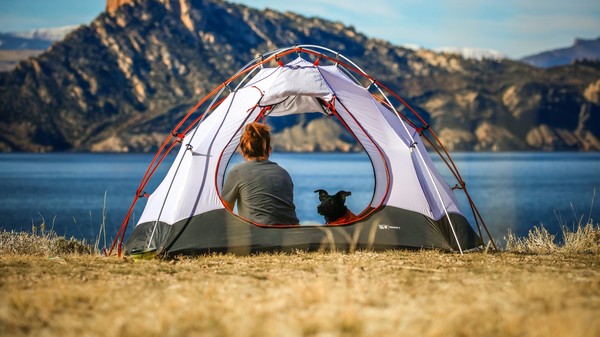 Camp Canine: Essential Gear and Advice for Camping with Your Furry Companion