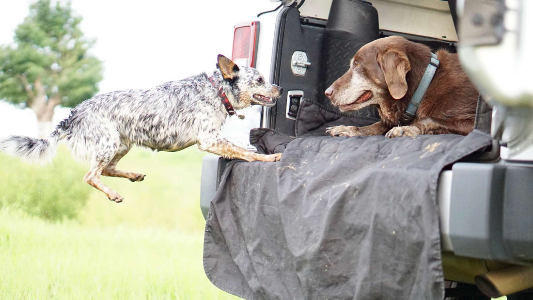 Protect Your SUV with Top-Quality Dog Cargo Liners for Stress-Free Travel