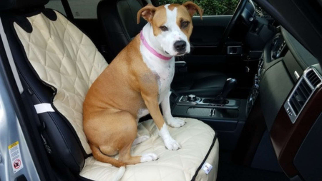 How to Protect Your Car's Bucket Seats with a Durable Dog Cover