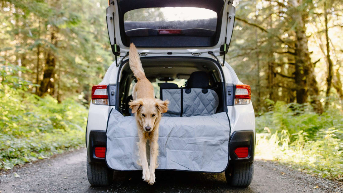 Top SUV Cargo Liners for Pet Owners: Protect & Preserve Your Vehicle