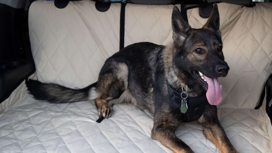 How Cargo Liners Enhance Pet-Friendly SUV Travel: Expert Tips