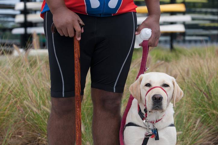 The Pros and Cons of Training a Service Dog