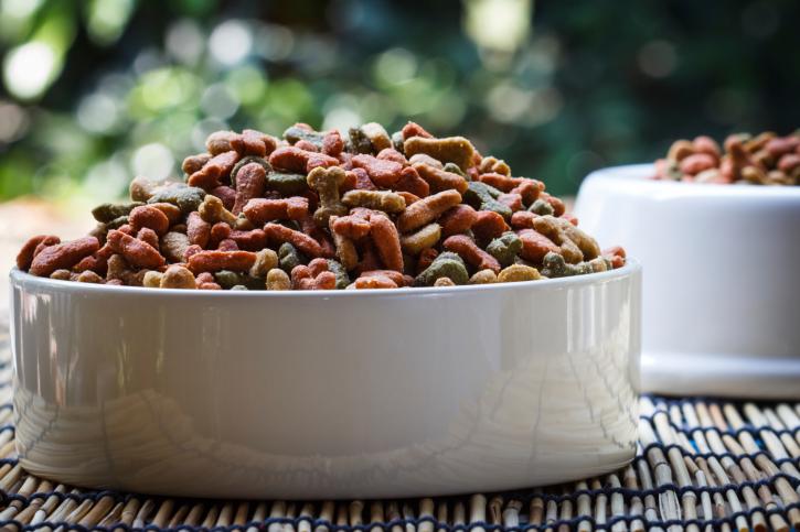 What Is the Best Dog Food to Feed My Dog?