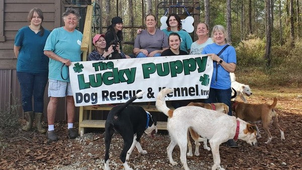 August 2022 Charity Spotlight: Lucky Puppy Rescue