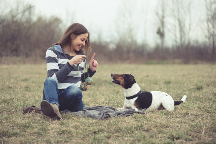 Dog Training Philosophies: Medical Model, Behavioral Model and Knee-Jerk Reactions