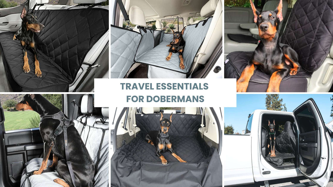 Travel Essentials for Dobermans | Road-Ready Gear for Clean & Safe Rides