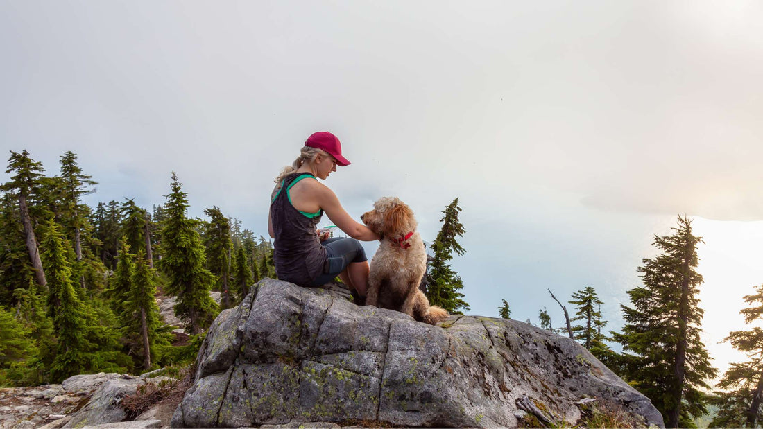 Best Dog-Friendly Vacation Spots in the US