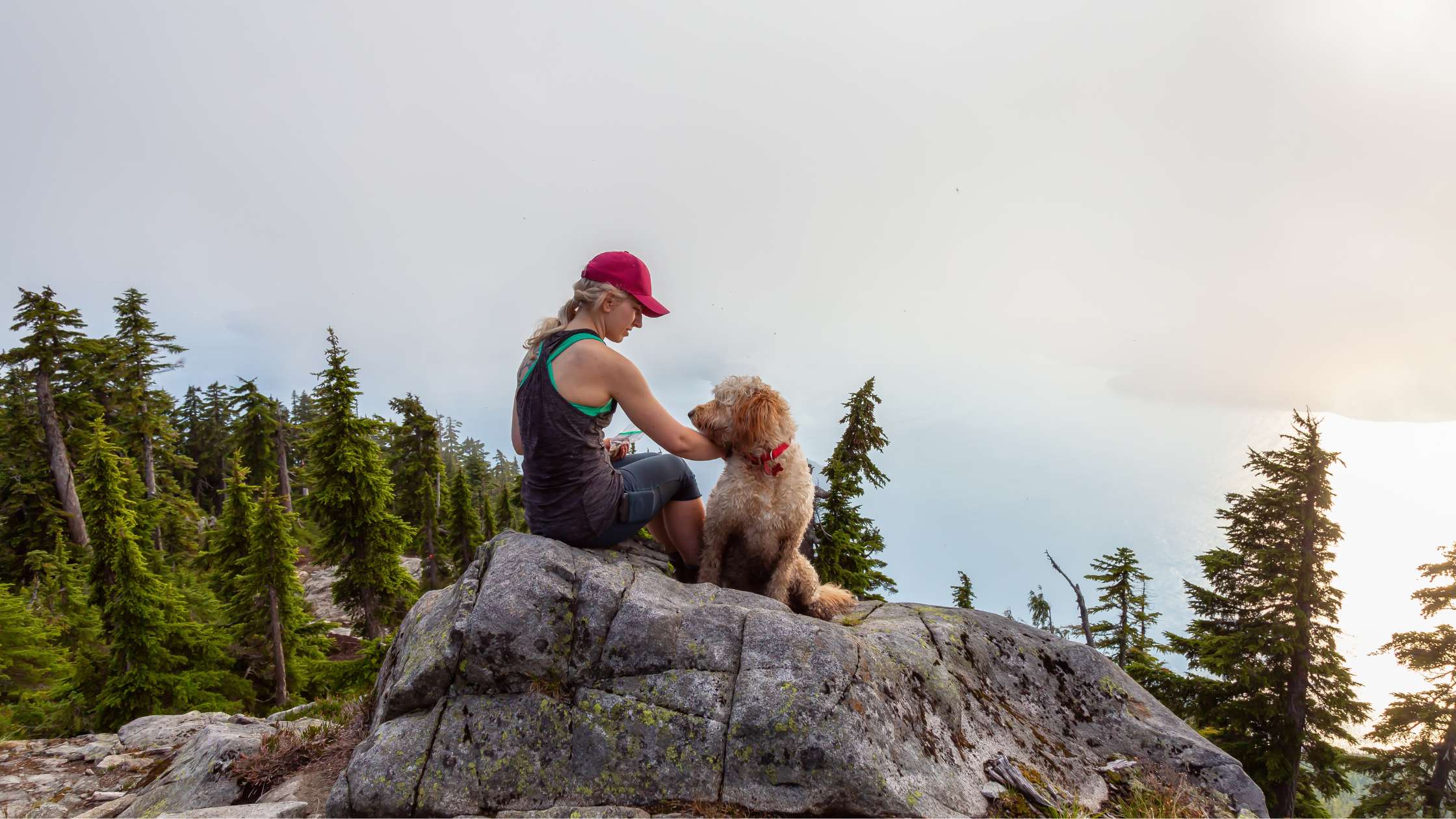 Best Dog-Friendly Vacation Spots in the US