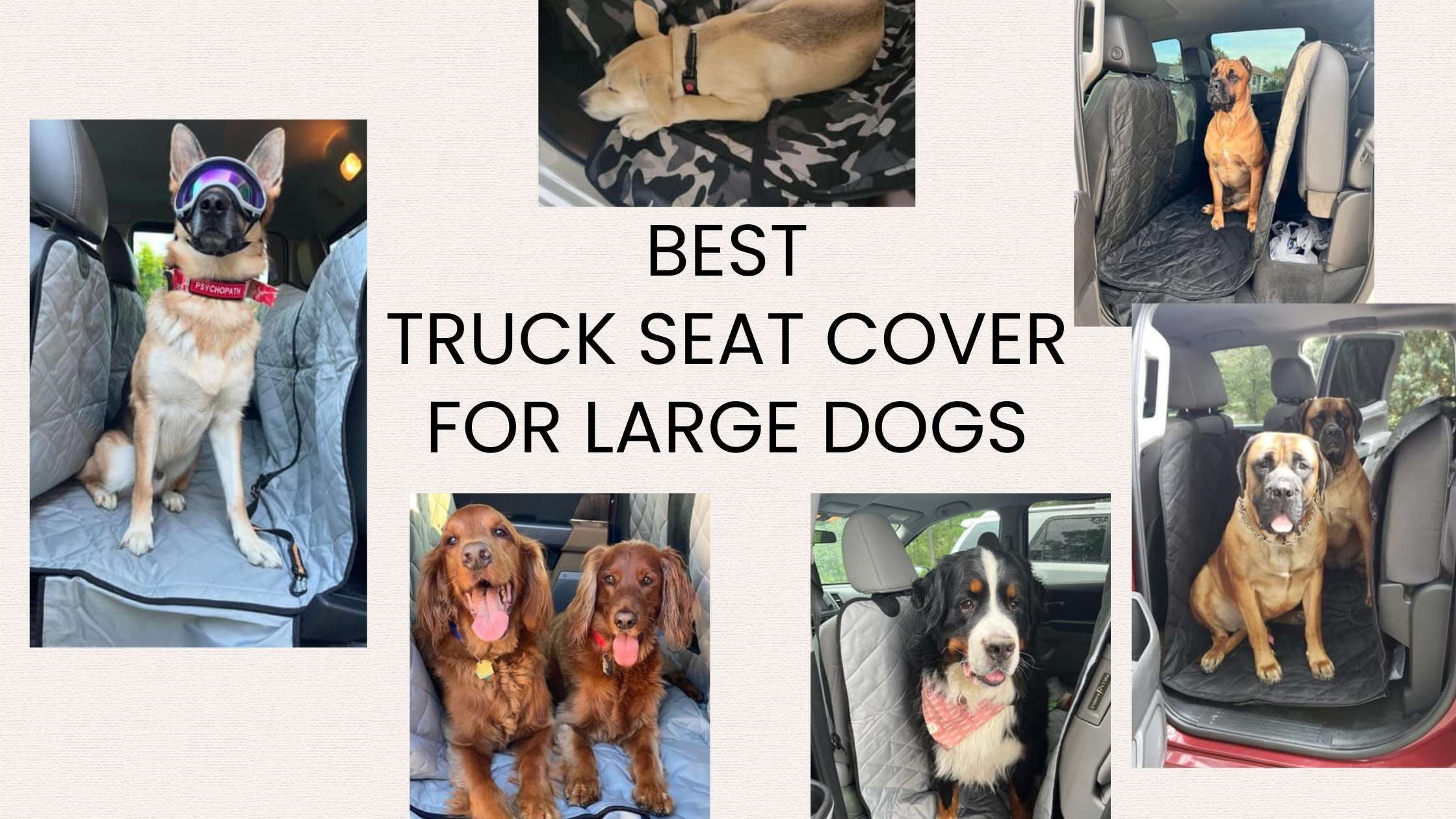 The Best Truck Seat Cover for Large Dogs – Waterproof, Durable & Mess-Resistant