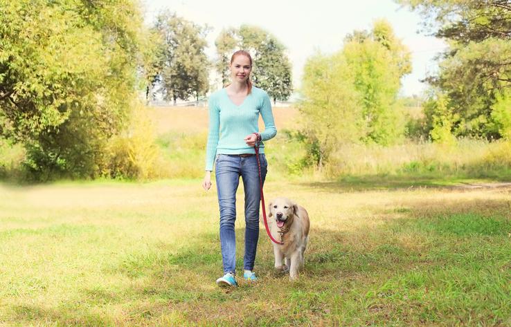 10 Reasons Why You Should Walk Your Dog