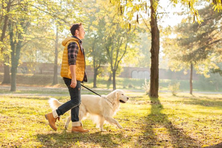 Common Sense Dog Walking!