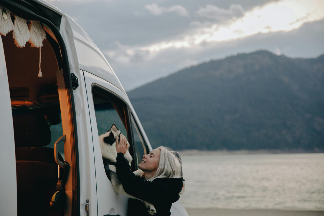 How to Protect Your Vehicle and Home from Flea and Tick Infestations on Outdoor Adventures