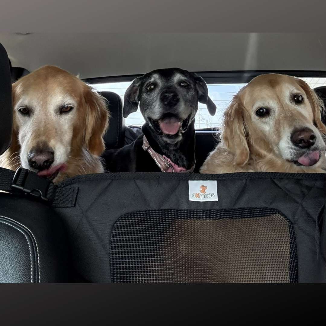 Dog Deterrent Barrier with dogs in back seat