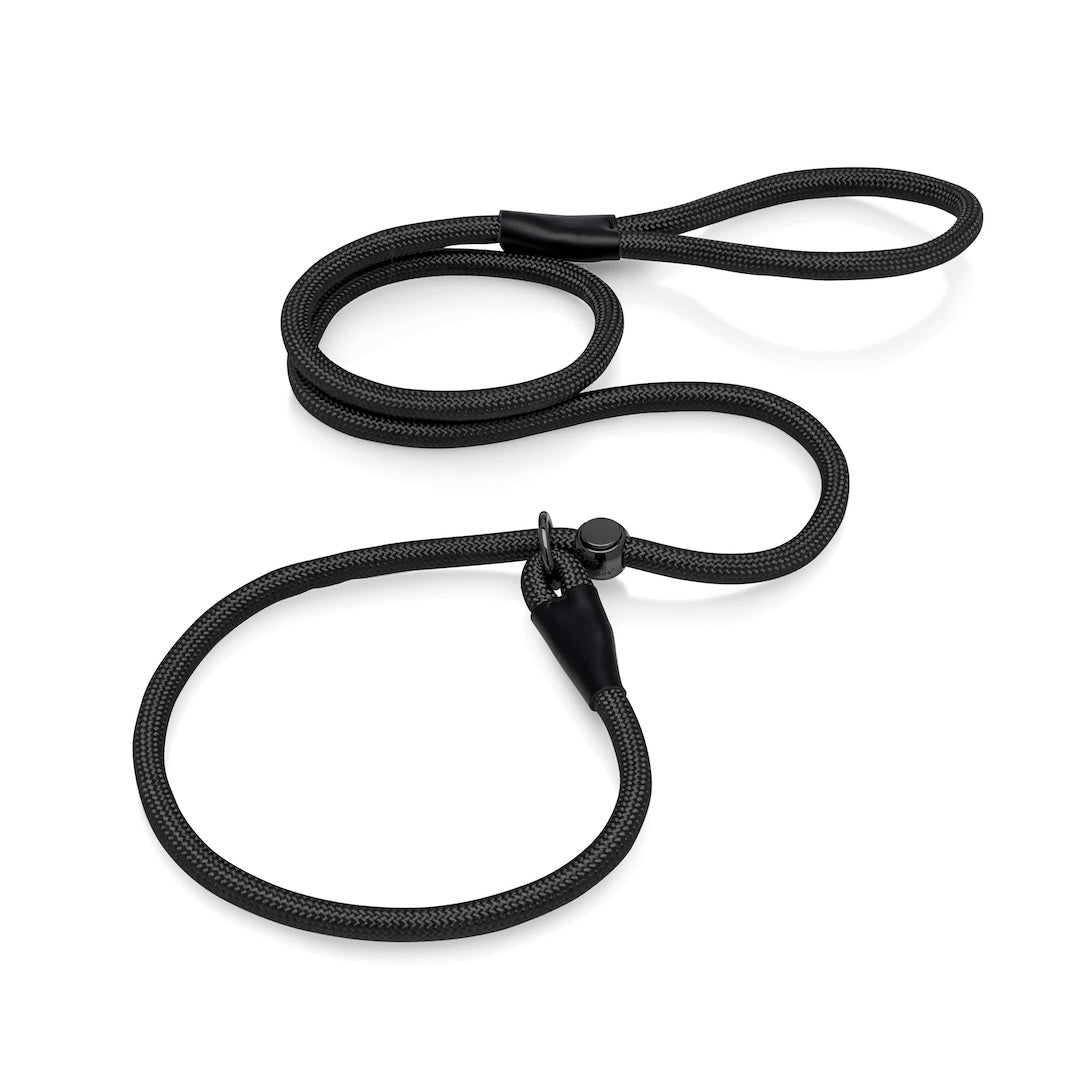 Slip Lead Dog Leash 6FT Black