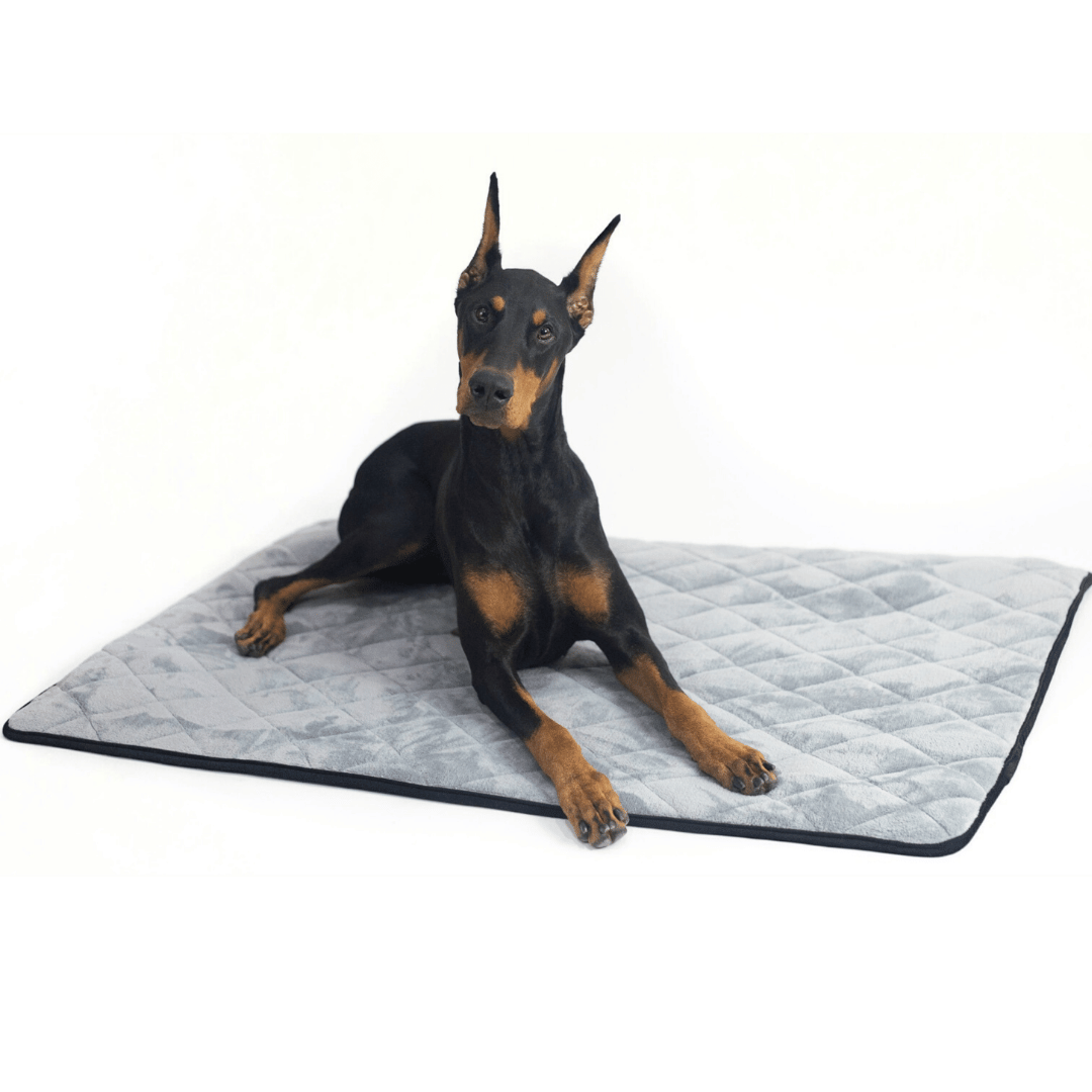 Crate Mat / Travel Bed with dog Grey