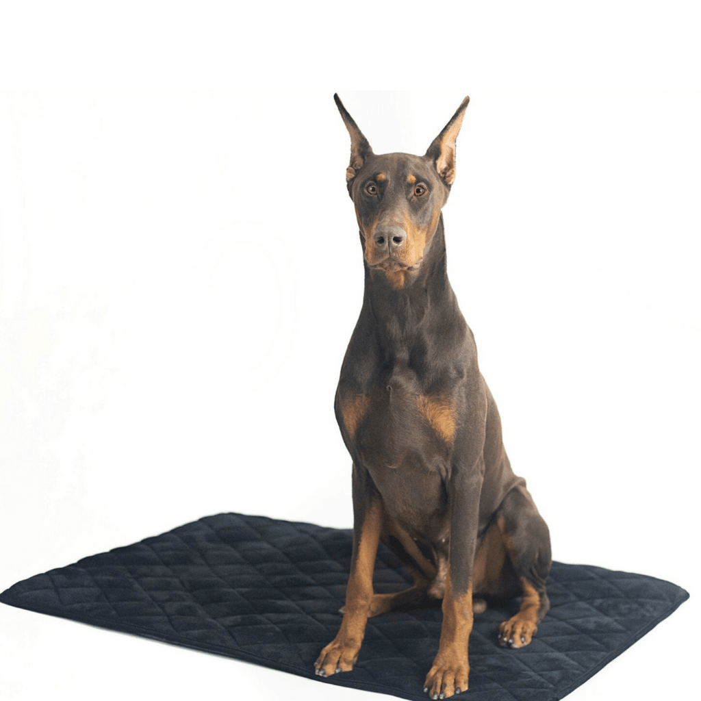 Crate Mat / Travel Bed with dog Black