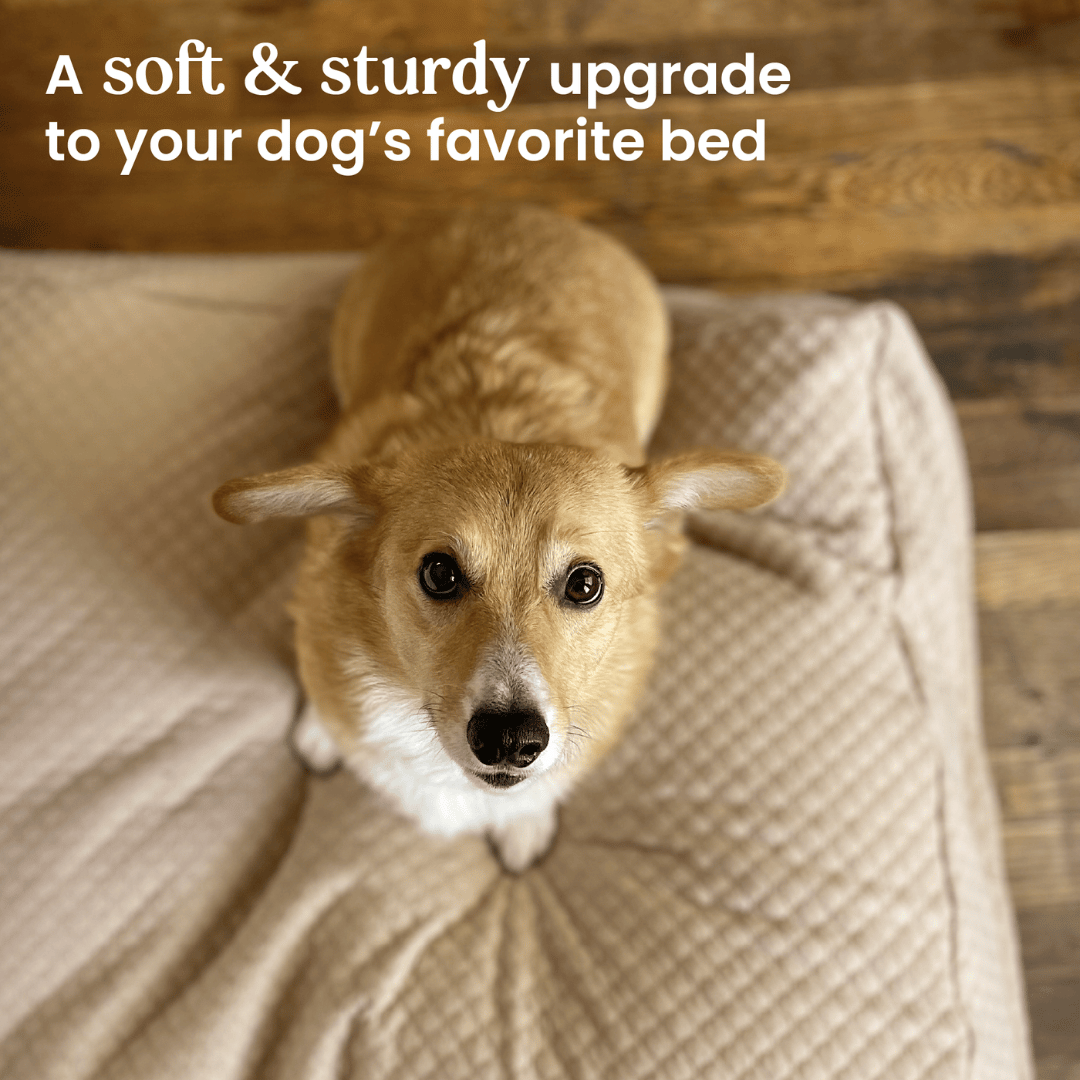 4Knines Waterproof Dog Bed Slip Cover with corgi features