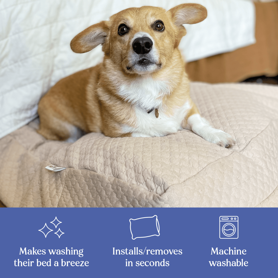4Knines Waterproof Dog Bed Slip Cover with corgi features 