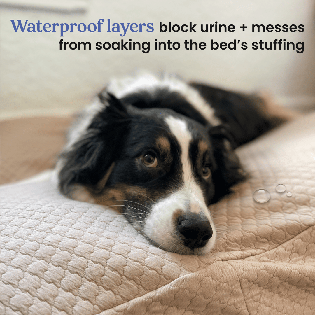 4Knines Waterproof Dog Bed Slip Cover dog bed 