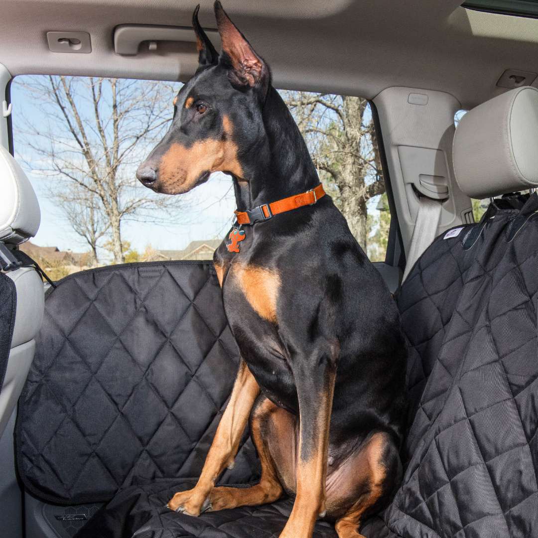 4Knines Door Cover with dog and seat cover