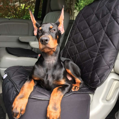 https://shop4kninefinds.com/products/bucket-seat-cover-for-dogs-and-pets-for-cars-trucks-and-suvs