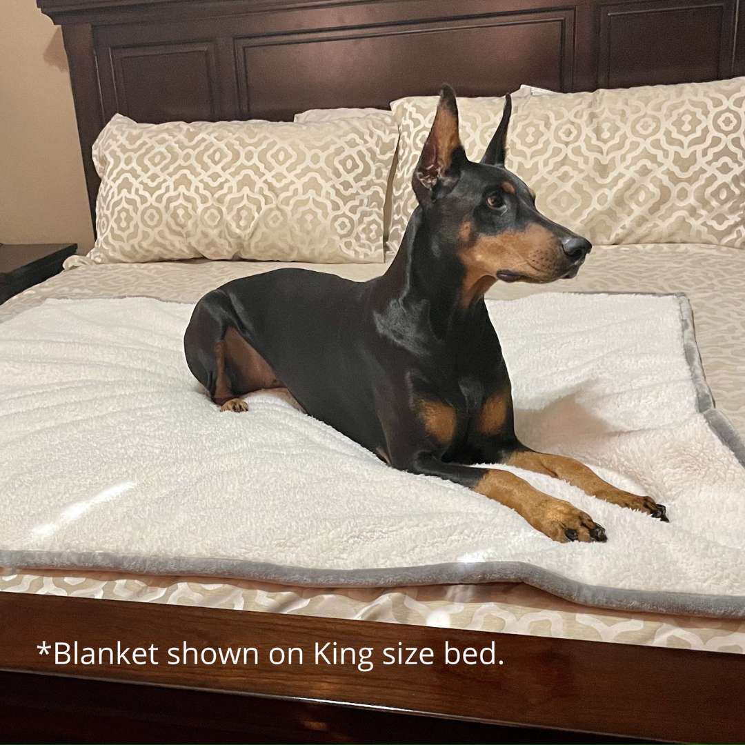 Waterproof Plush Dog Blanket with dog on bed