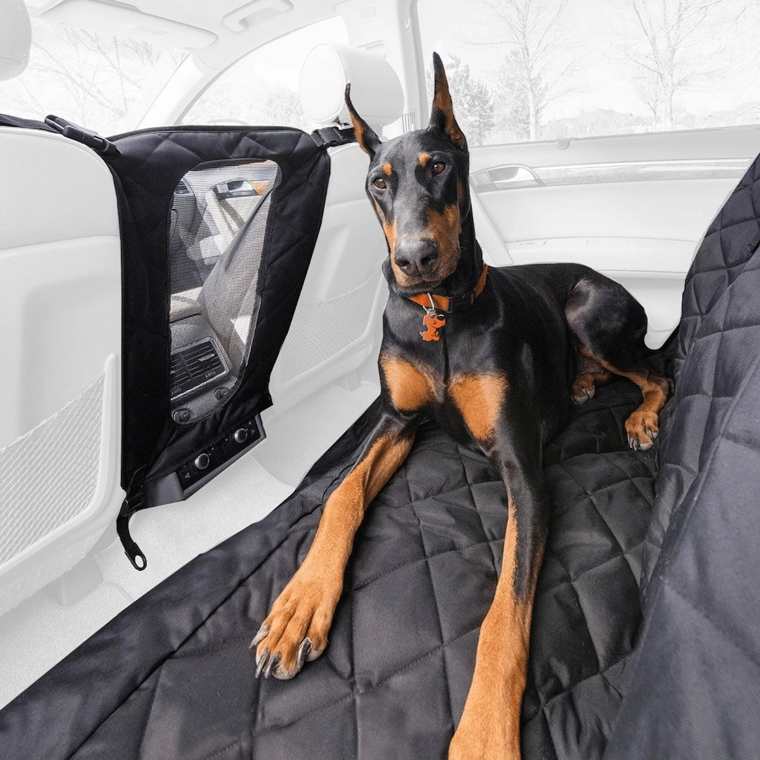Dog Deterrent Barrier Black with dog