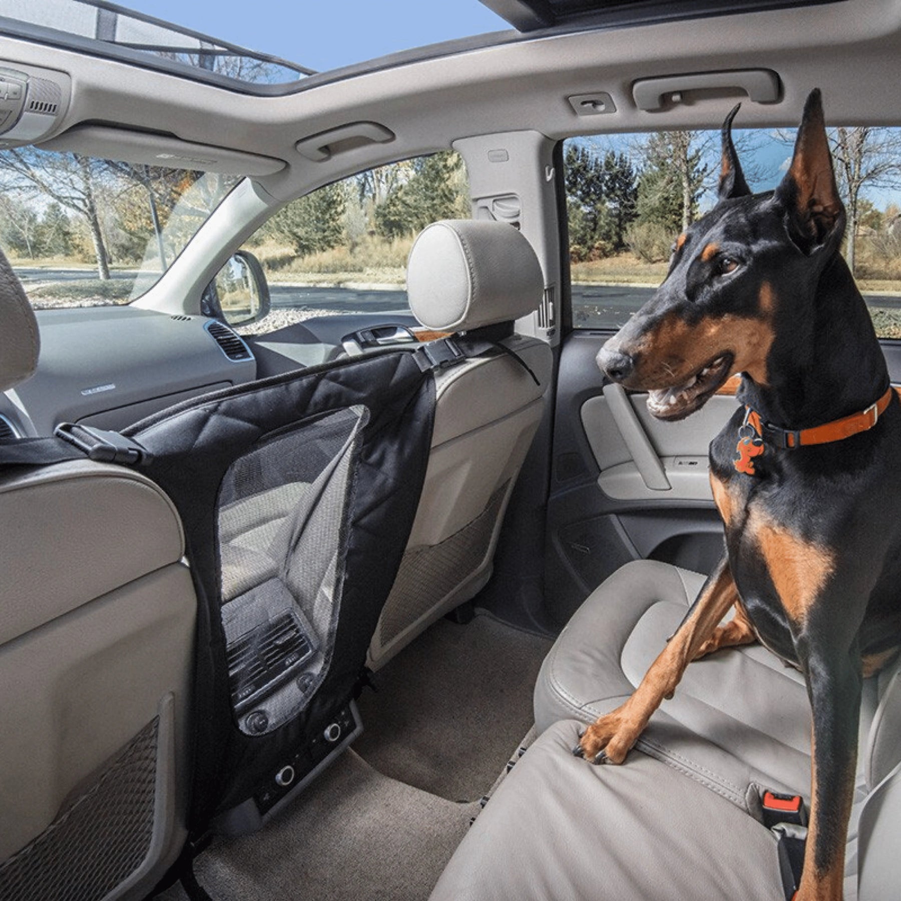 Dog Deterrent Barrier black 