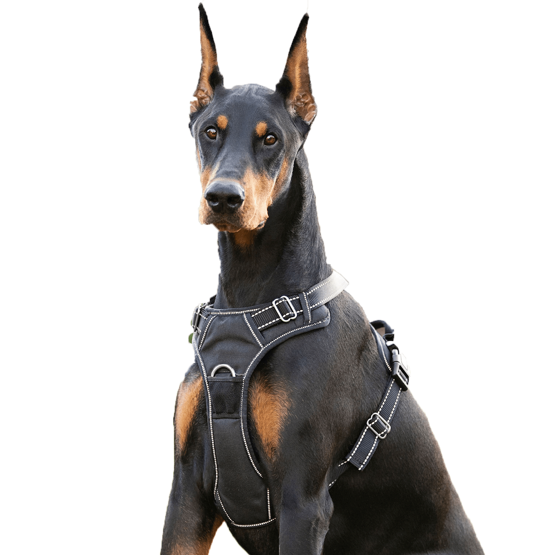4Knines Dog Harness Black