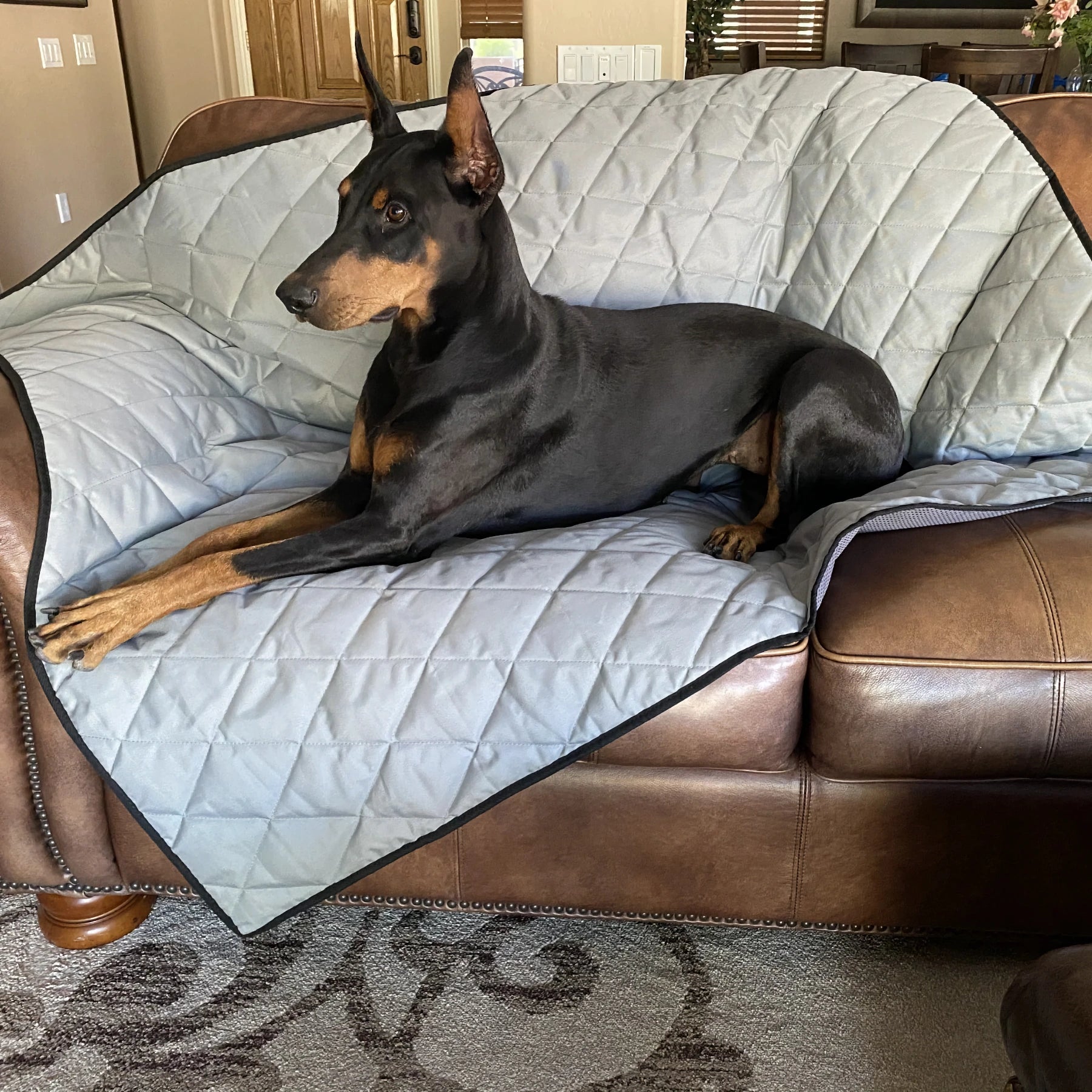 4Knines Heavy Duty Dog Blanket on couch with dog