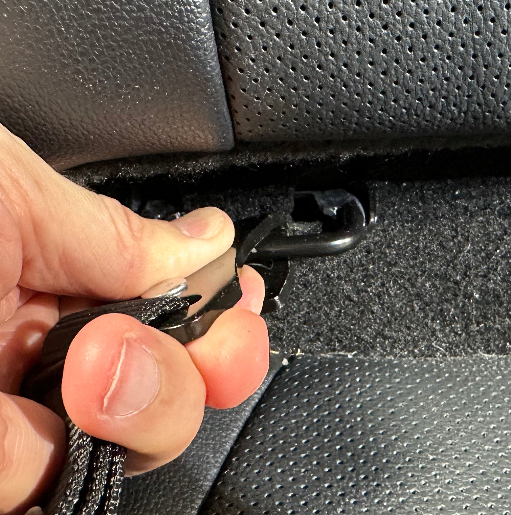 Dog Seat Belt latch hook 