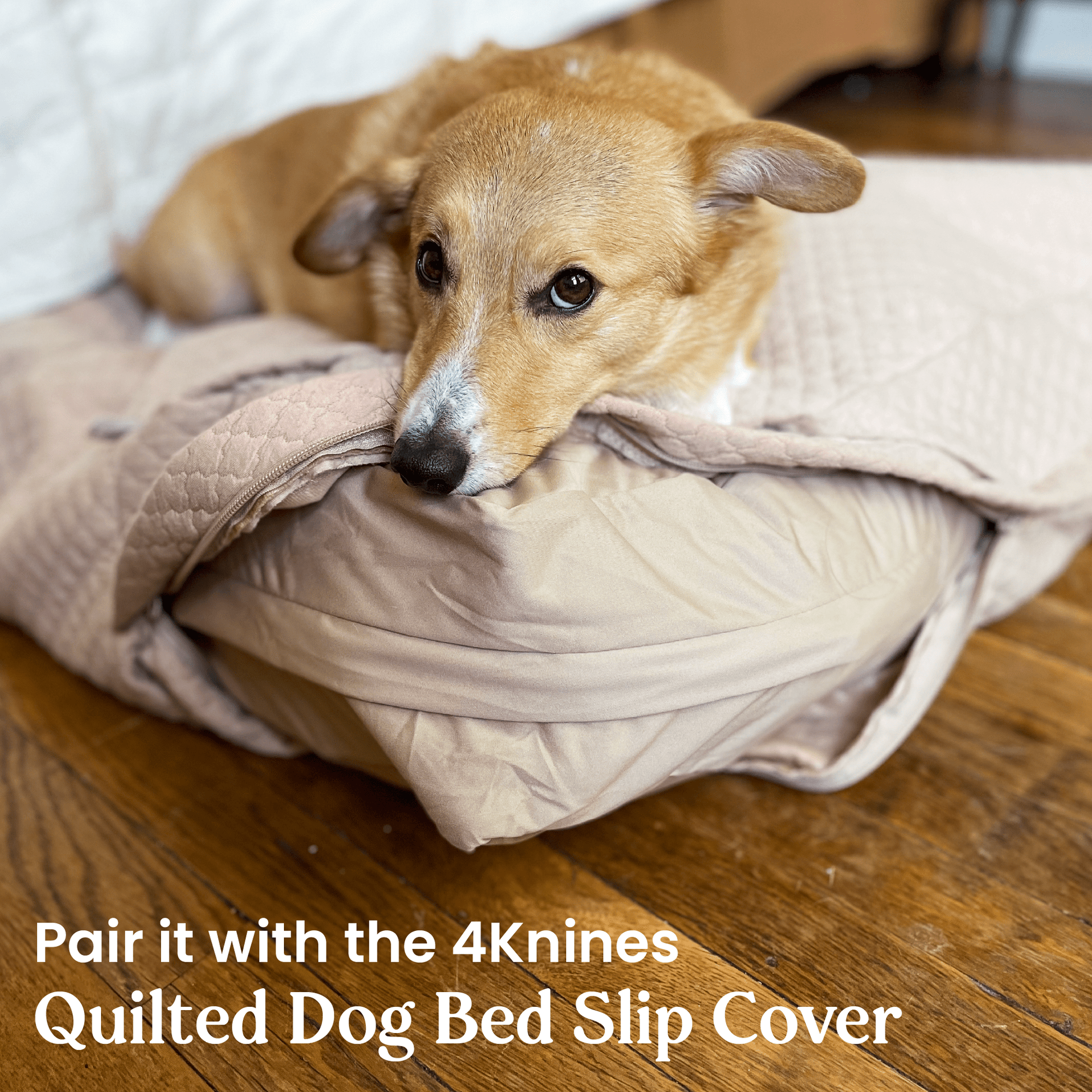 4Knines Dog Bed Liner in use 