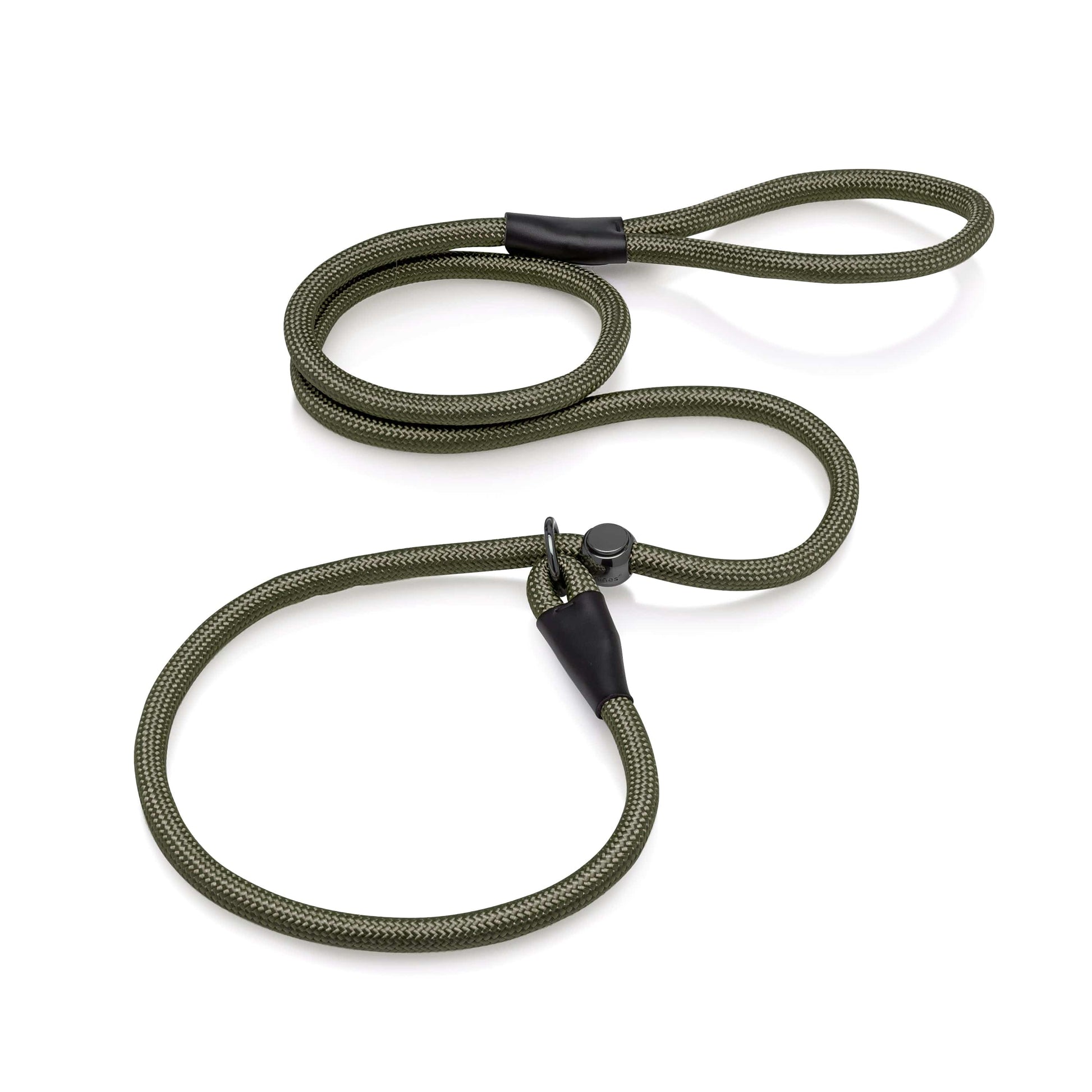 Slip Lead Dog Leash 6FT Green
