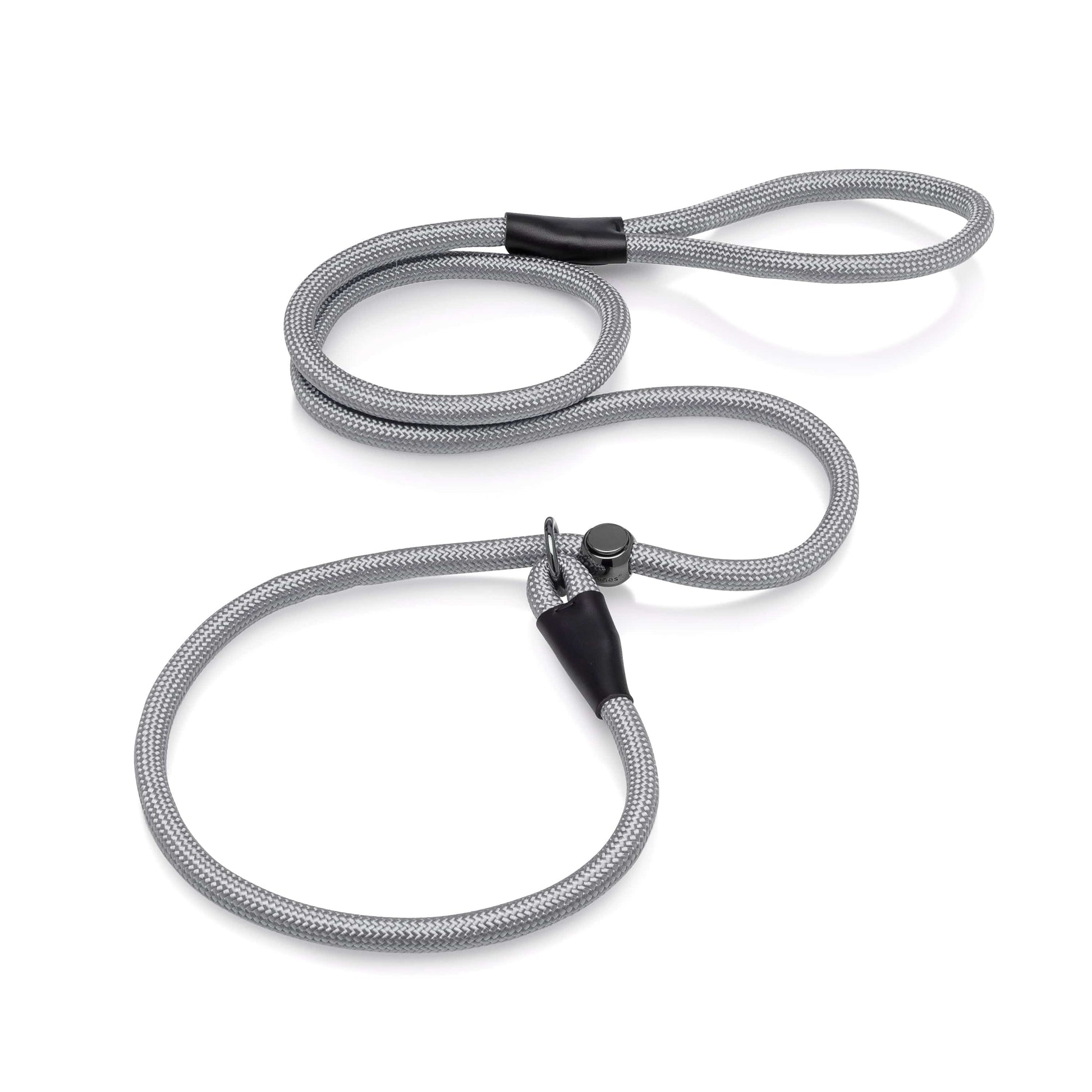 Slip Lead Dog Leash 6FT Grey