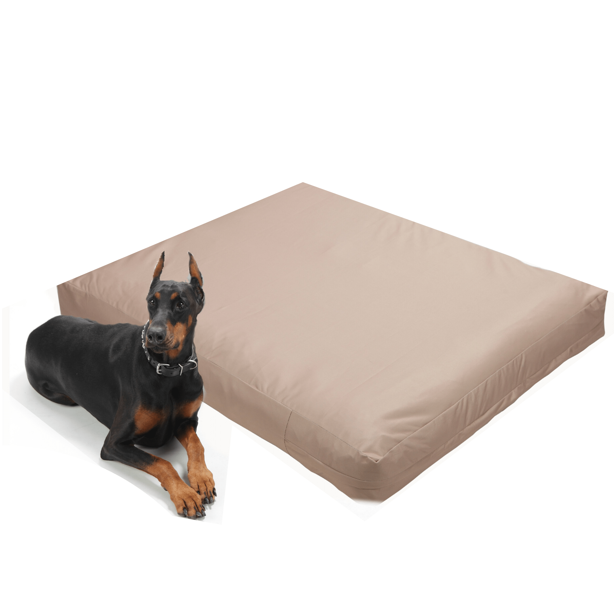 4Knines Dog Bed Liner 1
